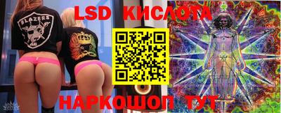 индика Заволжье
