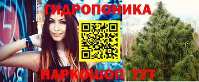индика Заволжье