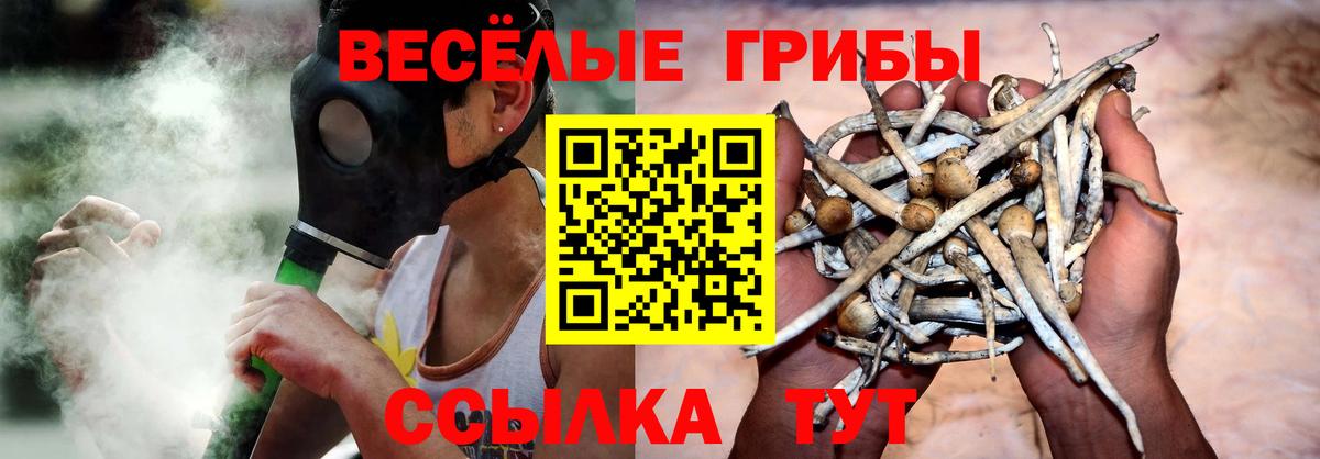 Галлюциногенные грибы мухоморы Лянтор